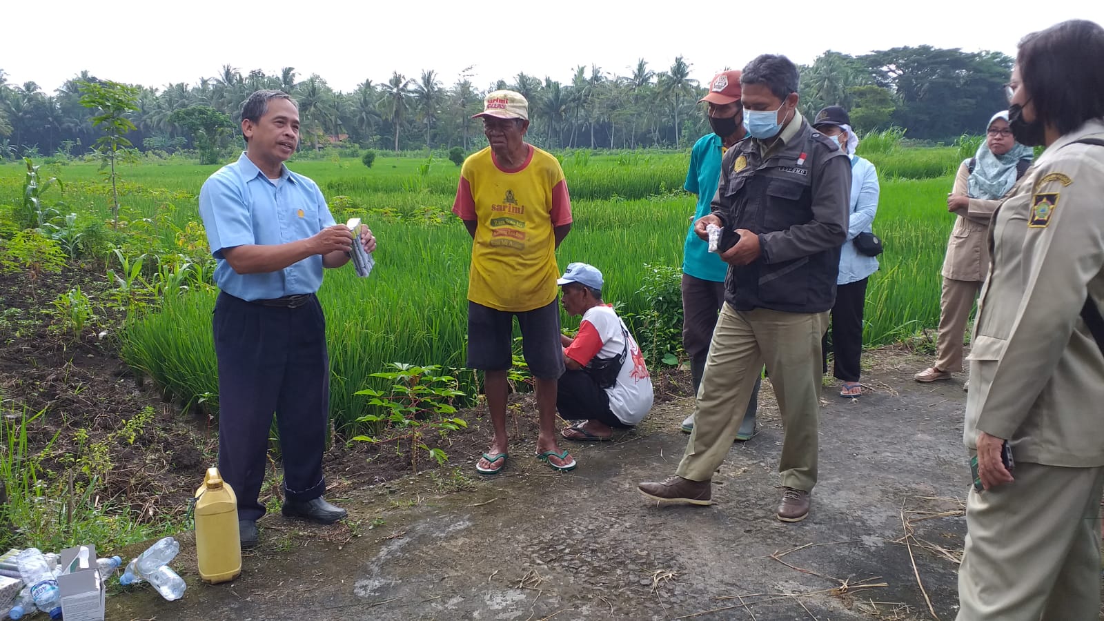 Pengendalian Hama Tikus